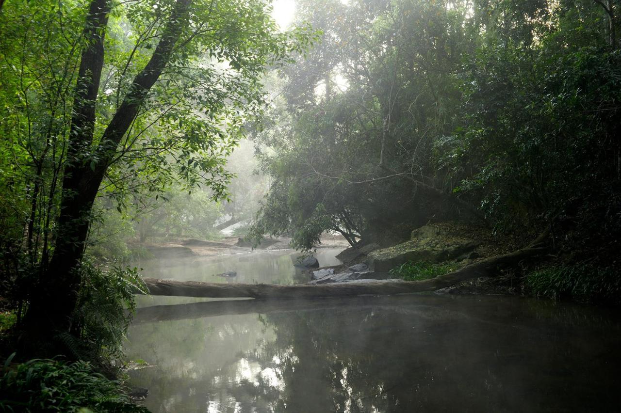 Amanvana Spa Resort, Coorg Kushālnagar Exterior foto